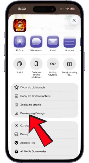 Menu udostępniania w Safari z zaznaczoną ikoną